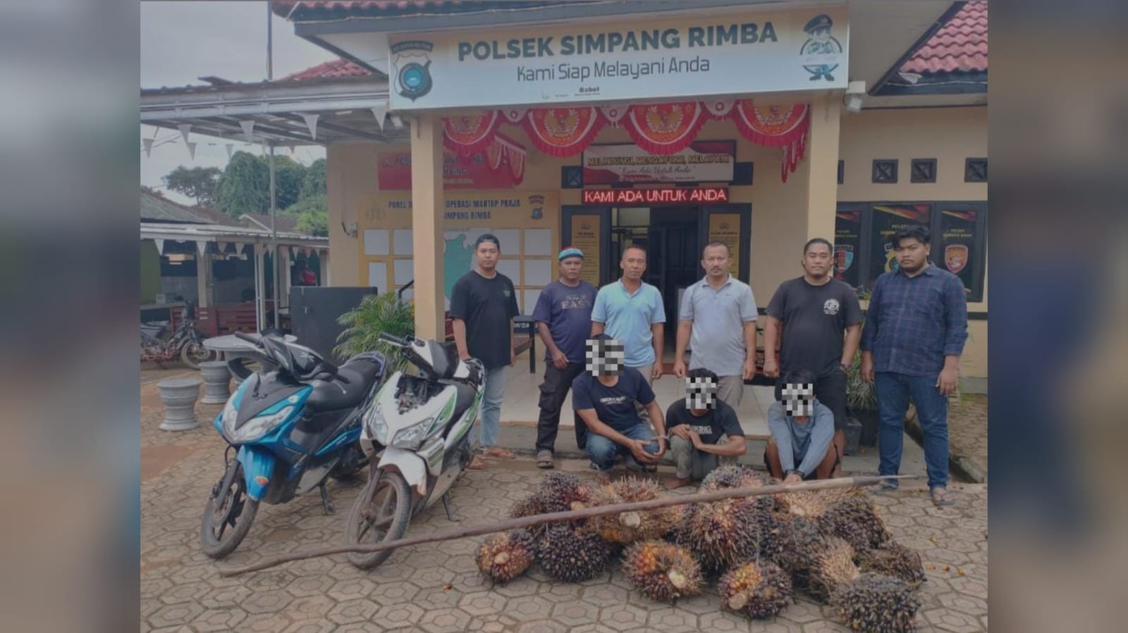 Terdesak Ekonomi, Tiga Pria di Simpang Rimba Nekat Curi Sawit Milik PT BSSP
