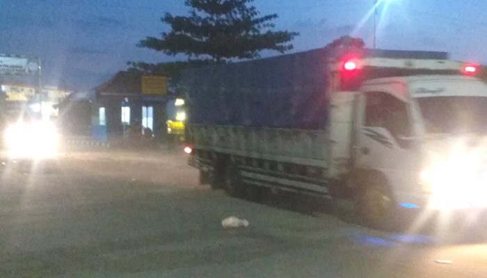 Cukong Besar Bebas Beraksi, 6 Truk diduga Muatan Timah Ilegal di Pelabuhan Sadai Kembali Lolos dari Pengawasan