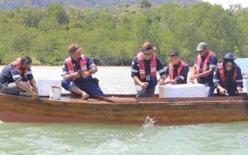 Jaga Kelestarian Ekosistem Pesisir, PT Timah Lepas Ribuan Bibit Kepiting di Kundur dan Karimun