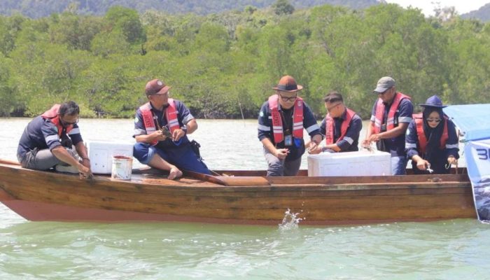 Jaga Kelestarian Ekosistem Pesisir, PT Timah Lepas Ribuan Bibit Kepiting di Kundur dan Karimun