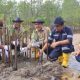 Cegah Abrasi, PT Timah Tanam 2.500 Mangrove di Pantai Batu Kucing