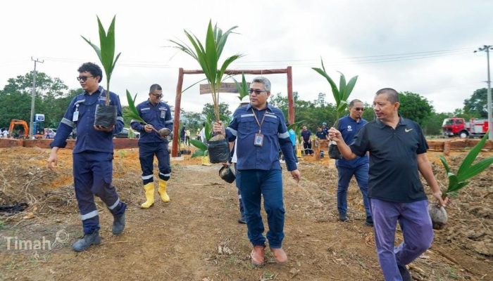 PT Timah Dukung Ketahanan Pangan Lewat Pengembangan Tanjung Ular Farm Estate