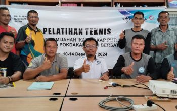 Dukung Ekonomi Pesisir, PT Timah dan BPBL Batam Gelar Pelatihan Pemijahan Ikan Kakap Putih