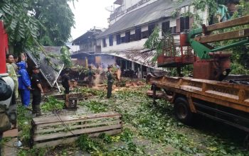 Dua Pengendara Motor di Pangkalpinang Tewas Tertimpa Pohon