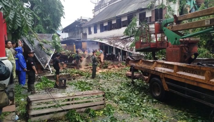 Dua Pengendara Motor di Pangkalpinang Tewas Tertimpa Pohon