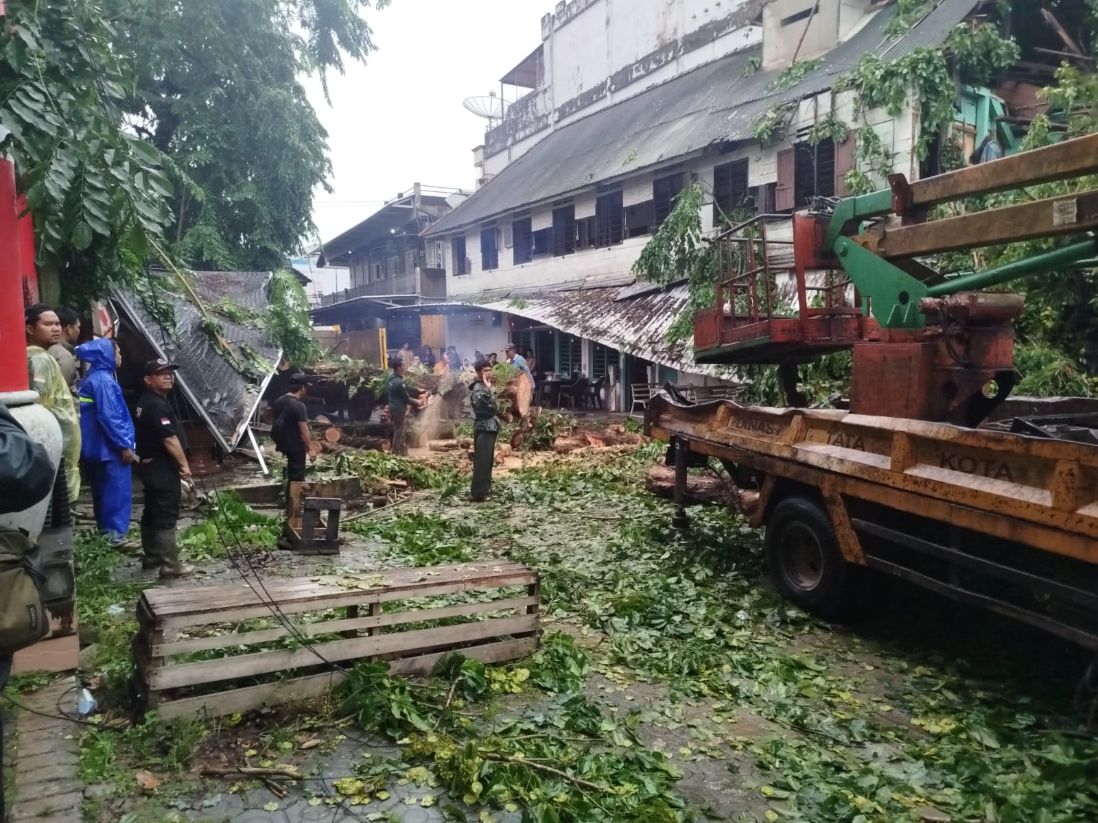 Dua Pengendara Motor di Pangkalpinang Tewas Tertimpa Pohon