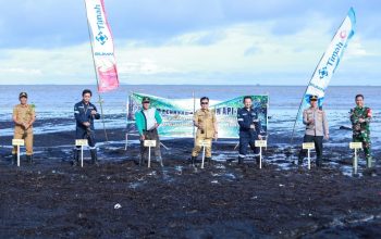 Cegah Abrasi, PT Timah Tanam Ribuan Mangrove di Pantai Sesai