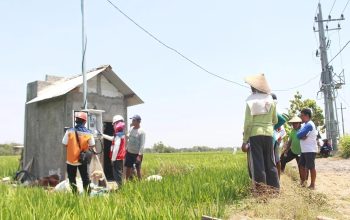 PLN Dorong Transformasi Pertanian Modern, Electrifying Agriculture Tambah 53.539 Pelanggan Baru di 2024