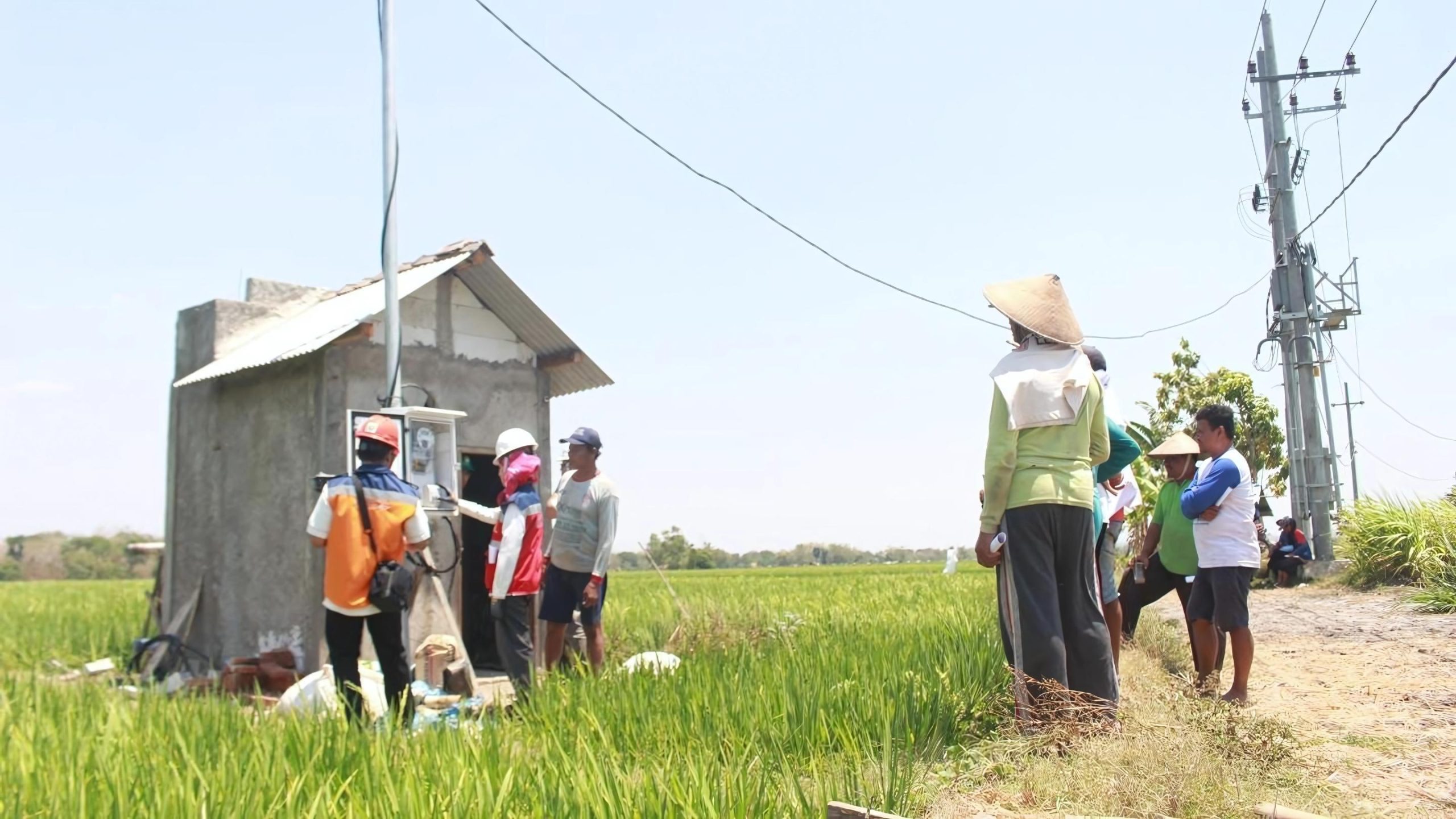 PLN Dorong Transformasi Pertanian Modern, Electrifying Agriculture Tambah 53.539 Pelanggan Baru di 2024