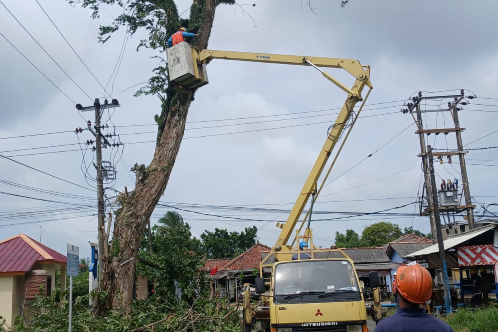 PT Timah dan PLN Kolaborasi, Tebang Pohon Berisiko di Kawasan Mentok