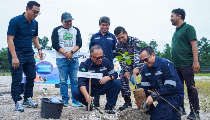 Sinergi PT Timah dan Pemda, 500 Pohon Buah Ditanam untuk Masa Depan Hijau