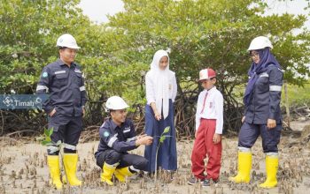 Langkah Nyata PT Timah Pulihkan Lingkungan dengan Penanaman Pohon