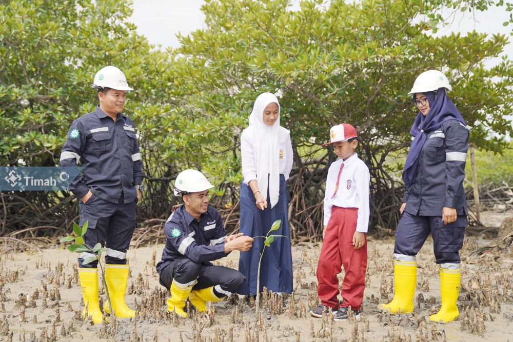 Langkah Nyata PT Timah Pulihkan Lingkungan dengan Penanaman Pohon