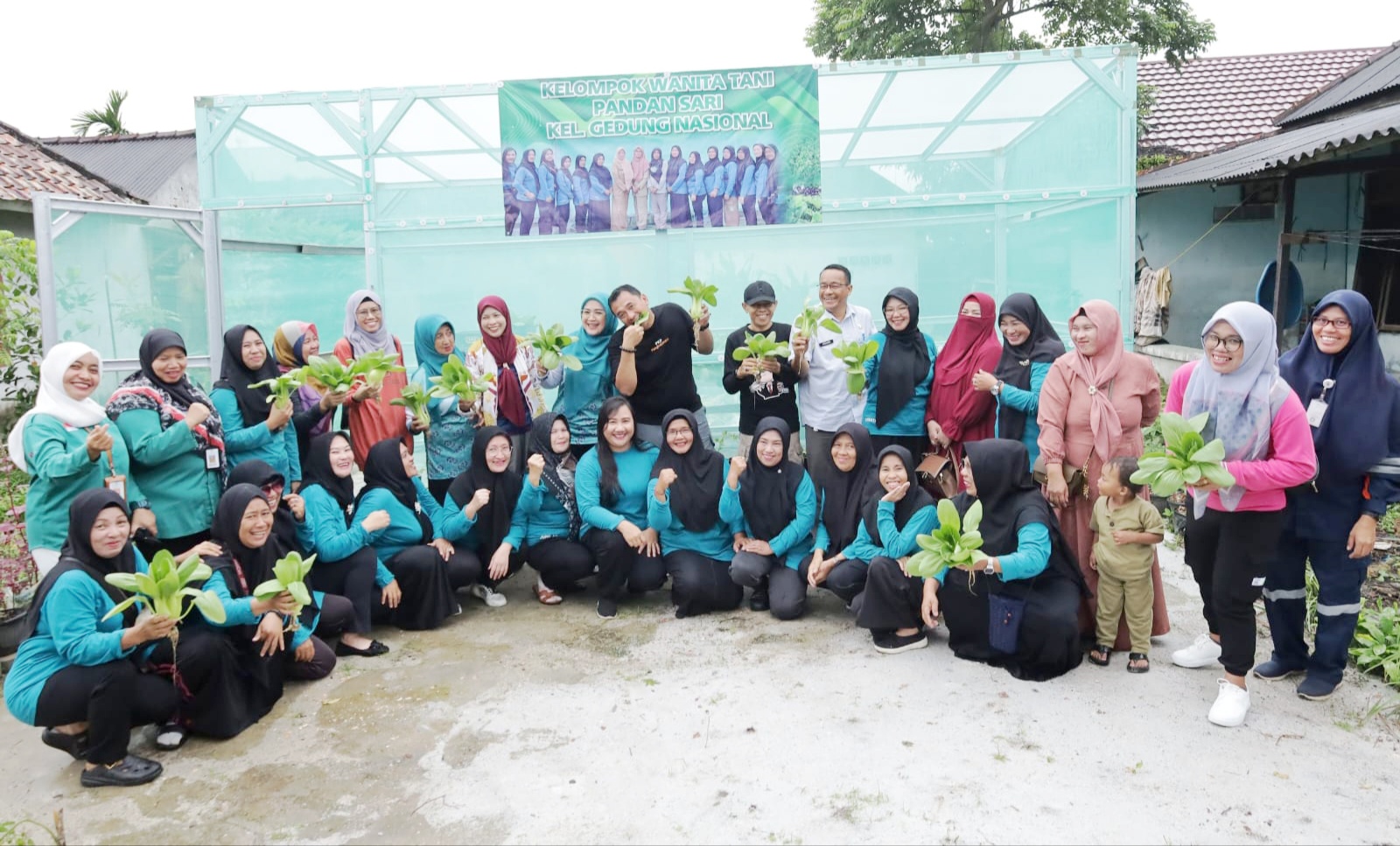 Panen Perdana Hidroponik, KWT Pandan Sari Buktikan Pekarangan Bisa Cetak Cuan