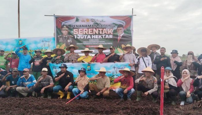 Wujudkan Ketahanan Pangan, PT Timah dan Polri Tanam Jagung Serentak di Kundur Utara