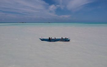 Ketika Laut Tak Lagi Biru