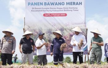 Pj Gubernur Babel Apresiasi Komitmen PT Timah dalam Wujudkan Ketahanan Pangan Daerah