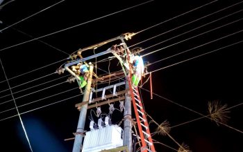 Jaga Keandalan Listrik, PLN UIW Babel Lakukan Pemeliharaan Jaringan TM dan Pemangkasan Pohon