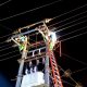 Jaga Keandalan Listrik, PLN UIW Babel Lakukan Pemeliharaan Jaringan TM dan Pemangkasan Pohon