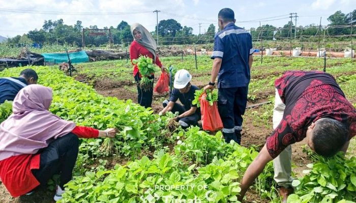 Farm Estate Tanjung Ular, Perkebunan Modern yang Mengubah Hidup Warga Sekitar