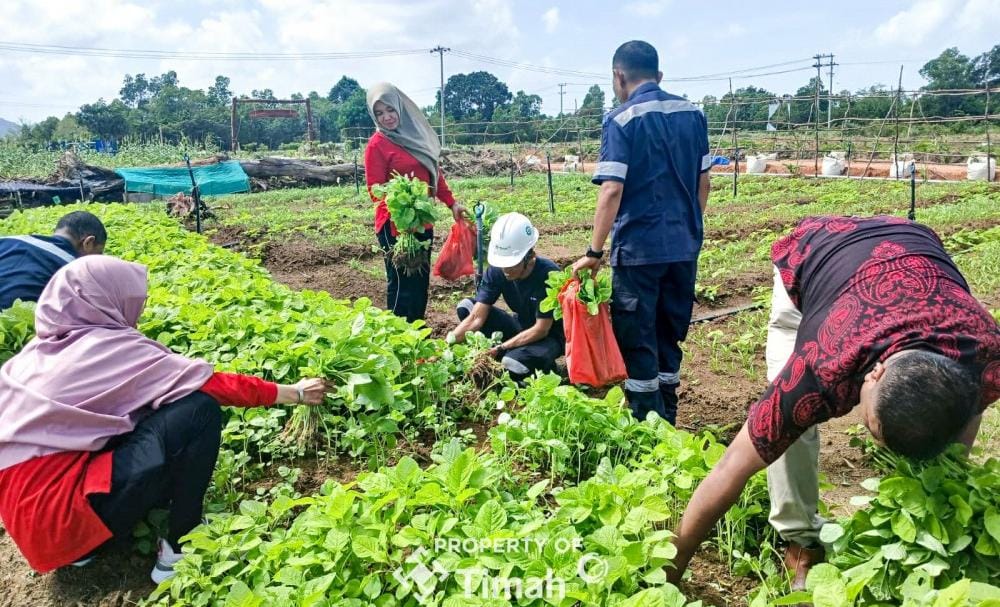 Farm Estate Tanjung Ular, Perkebunan Modern yang Mengubah Hidup Warga Sekitar