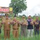 Bukti Potensi Hortikultura di Bangka Belitung, Petani di Mesu Timur Panen 5 Ton Bawang Merah