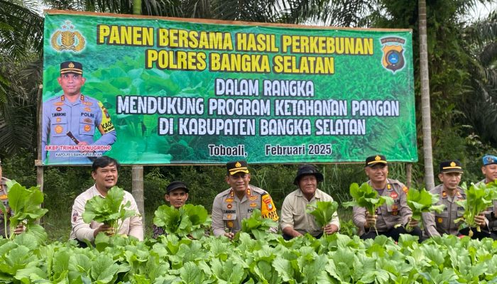 Dukung Ketahanan Pangan, Polres Basel Panen Bersama Petani Desa Rias