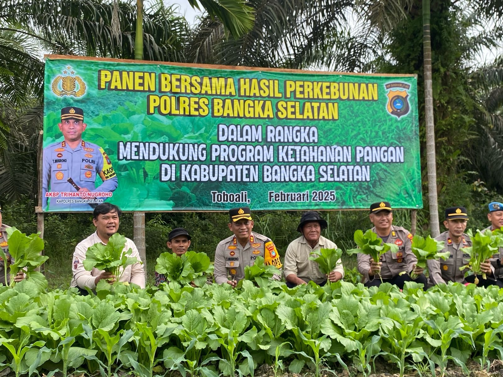 Dukung Ketahanan Pangan, Polres Basel Panen Bersama Petani Desa Rias