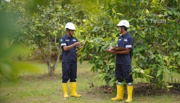 Jaga Ekosistem Pasca Tambang, PT Timah Lakukan Reklamasi Berkelanjutan