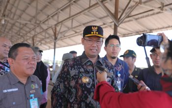 Jelang Puasa dan Lebaran, Stok Daging di Babel Dipastikan Aman