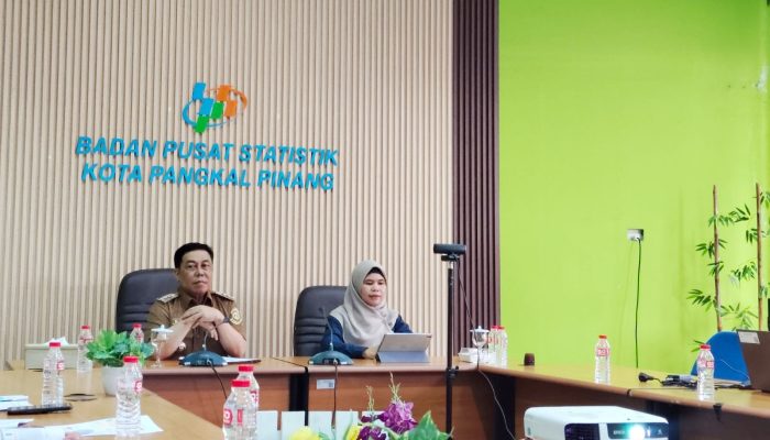 Pangkalpinang Alami Deflasi 0,24 Persen pada Januari 2025, Tarif Listrik Jadi Penyumbang Utama