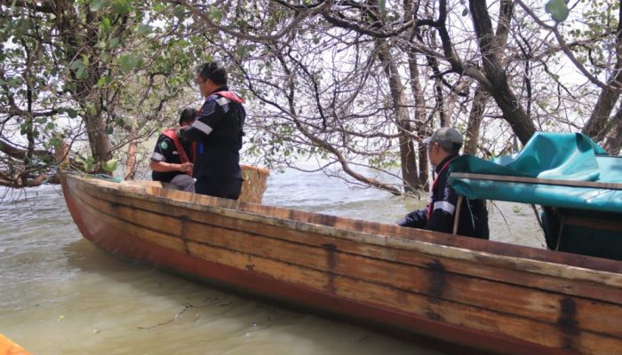 PT Timah Tebar Ribuan Bibit Kepiting Bakau untuk Keberlanjutan Ekosistem Laut di Kundur