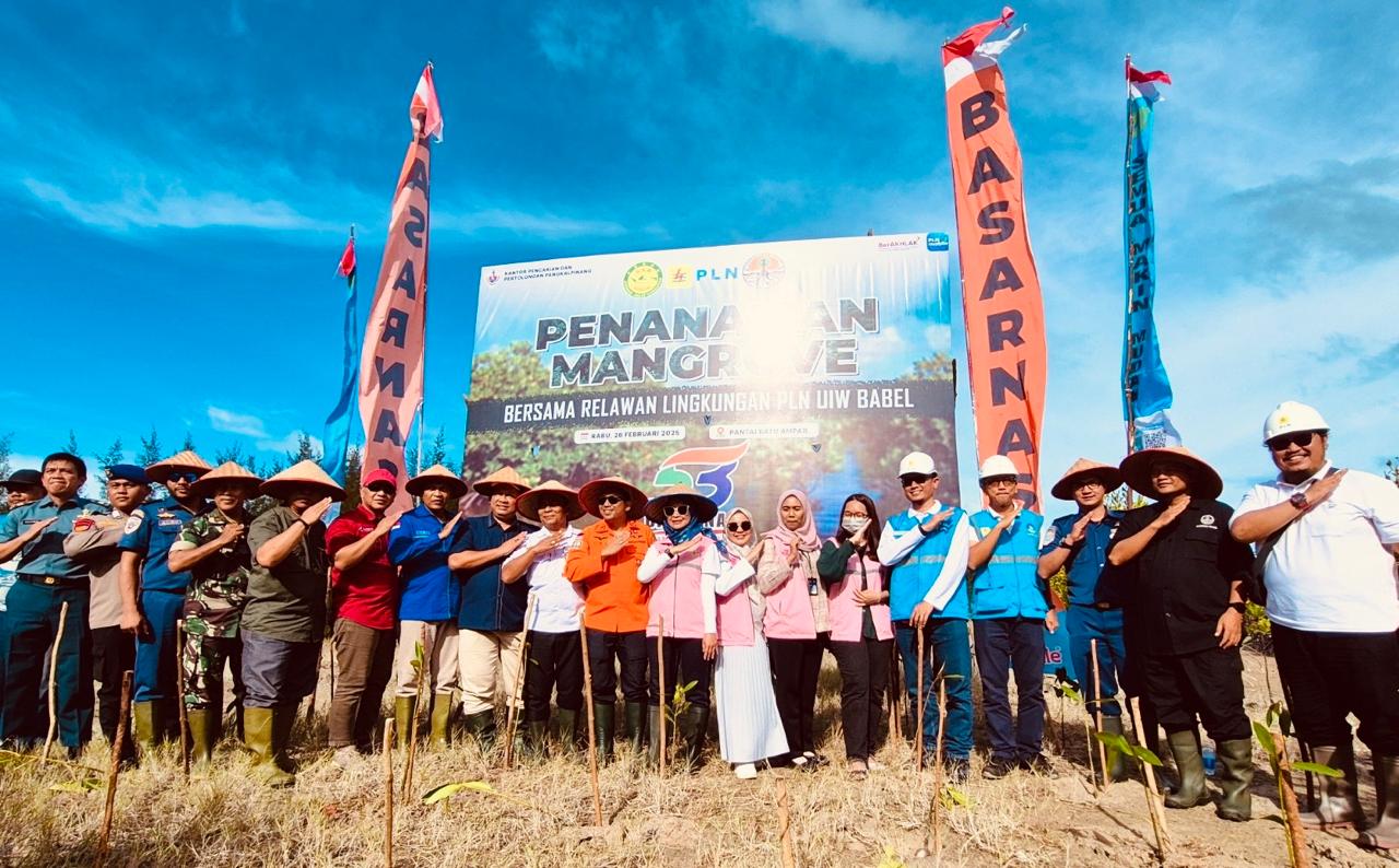 Sinergi Lindungi Pesisir: PLN, Basarnas dan Pemkab Bangka Kolaborasi Tanam 1000 Mangrove