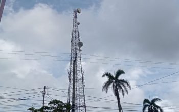 Polemik Izin Tower BTS di Basel: DPMPTSP Sebut Hanya 48 Berizin, Diskominfo Klaim Ratusan Tower Sudah Bayar Pajak