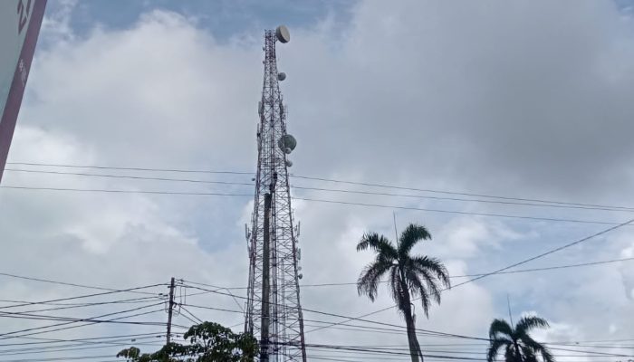 Polemik Izin Tower BTS di Basel: DPMPTSP Sebut Hanya 48 Berizin, Diskominfo Klaim Ratusan Tower Sudah Bayar Pajak