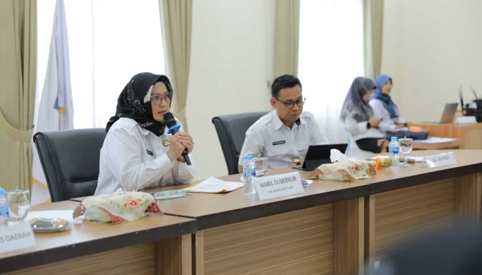 Wagub Babel Pimpin Rapat RPJMD 2025-2029, Fokus pada Penciptaan Lapangan Kerja Baru