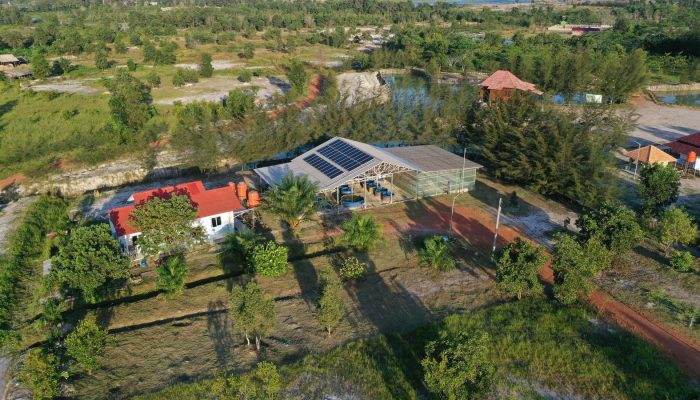Dorong Energi Hijau, PT Timah Bangun PLTS di Lahan Bekas Tambang