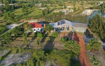 Dorong Masa Depan Hijau, PT Timah Kurangi Konsumsi Energi untuk Capai Net Zero Emission