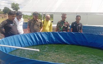 Dari Ayam Petelur, Lele hingga Perkebunan, Kodim 0432/Basel Tunjukkan Aksi Nyata Ketahanan Pangan