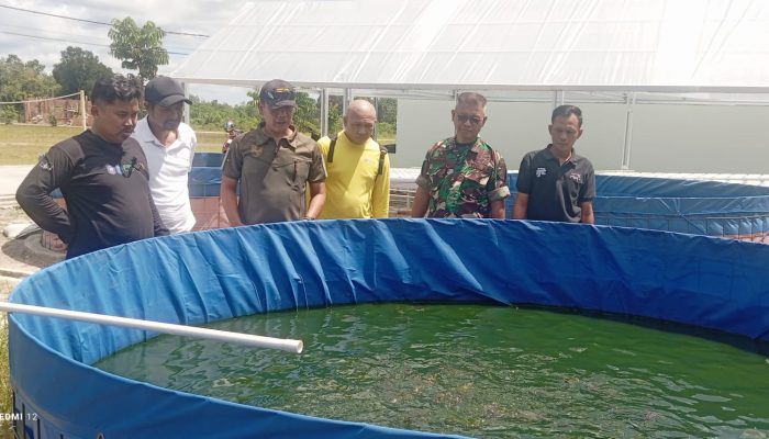 Dari Ayam Petelur, Lele hingga Perkebunan, Kodim 0432/Basel Tunjukkan Aksi Nyata Ketahanan Pangan