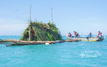 Dukung Kesejahteraan Nelayan, PT Timah Tenggelamkan 1.434 Rumpon