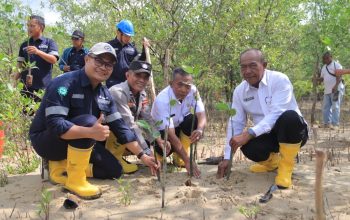 PT Timah Tanam Ribuan Bibit Mangrove di Karimun