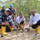 PT Timah Tanam Ribuan Bibit Mangrove di Karimun
