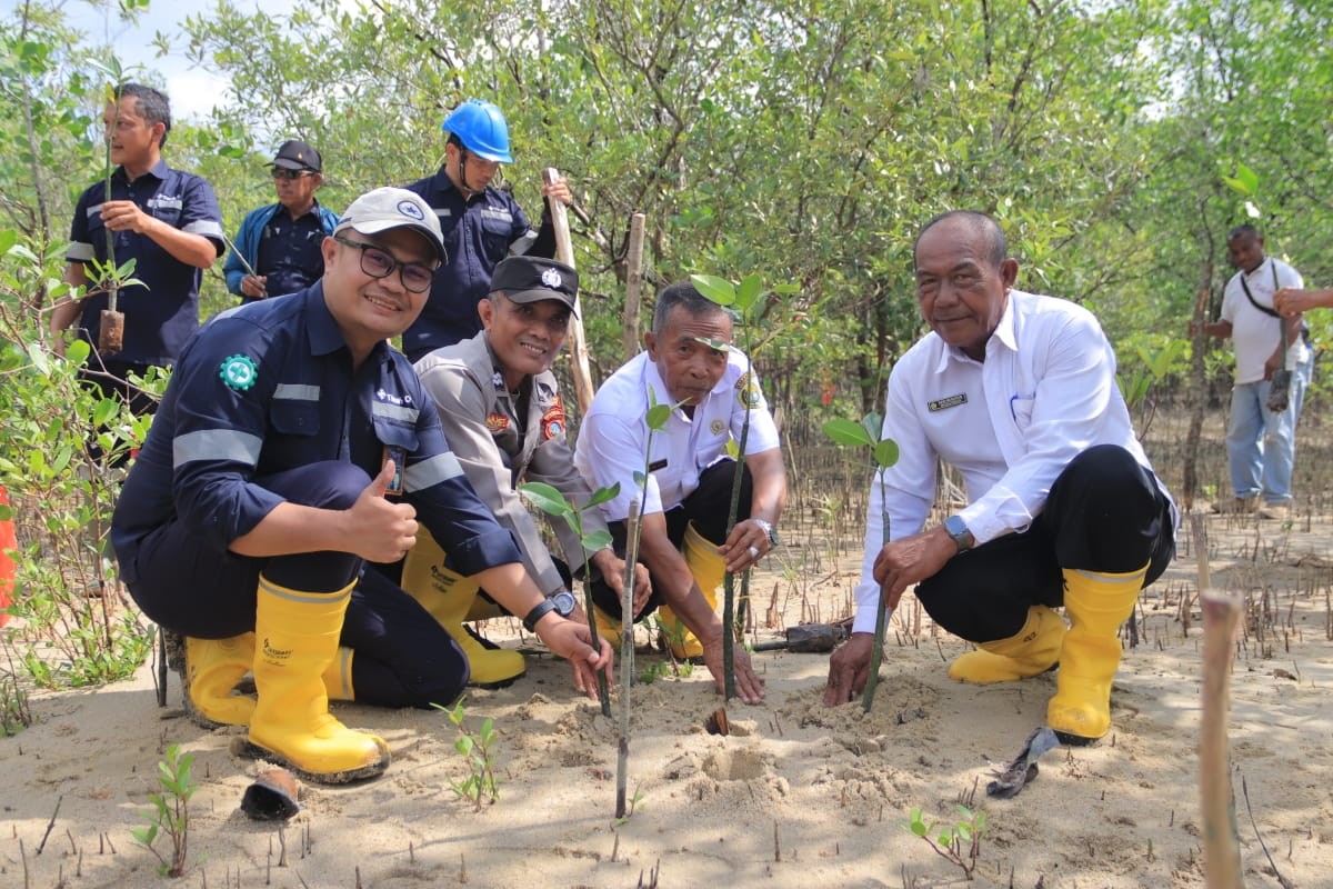 PT Timah Tanam Ribuan Bibit Mangrove di Karimun