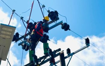 Dukung Budidaya Udang, PLN Sambungkan Listrik 105.000 VA di Bangka