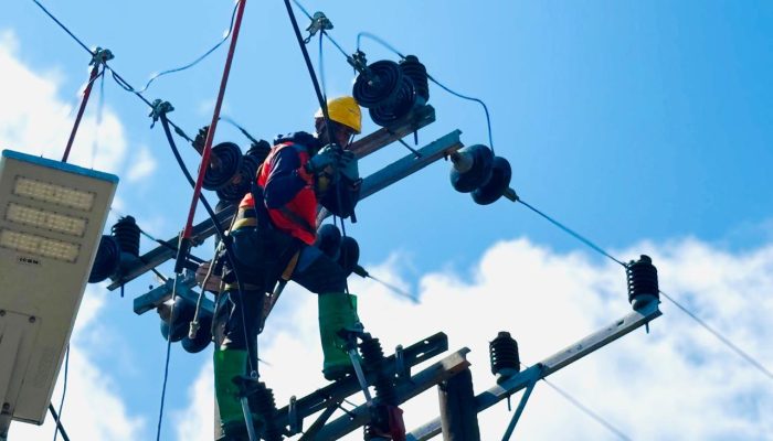 Dukung Budidaya Udang, PLN Sambungkan Listrik 105.000 VA di Bangka