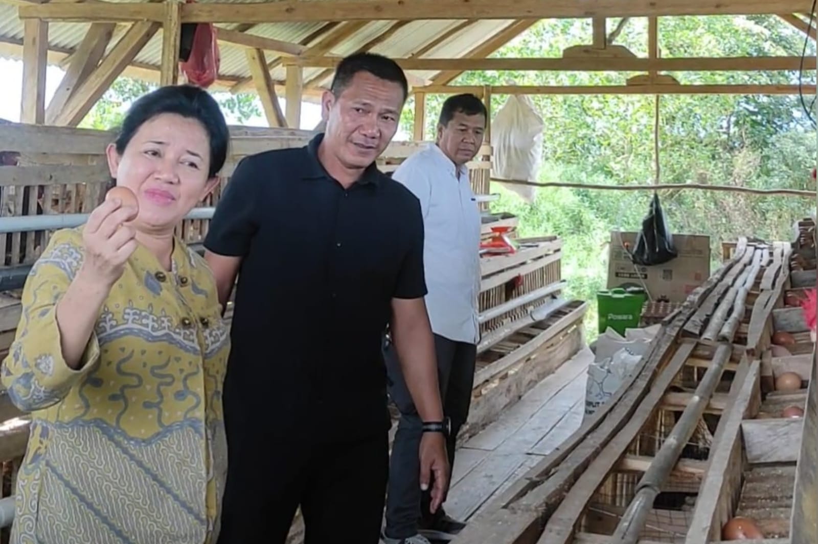 Budidaya Ayam Petelur di Makodim Basel Jadi Role Model Ketahanan Pangan Nasional