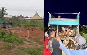 Polres Basel Tertibkan Aktivitas Tambang Ilegal Dekat Permukiman Warga, 1 Unit Mesin Diamankan
