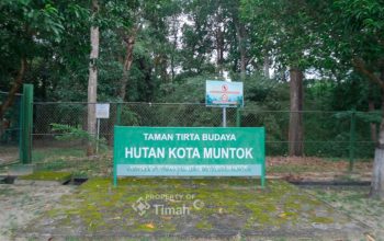 PT Timah Komitmen Jaga Flora dan Fauna Endemik Lewat Hutan Kota Mentok