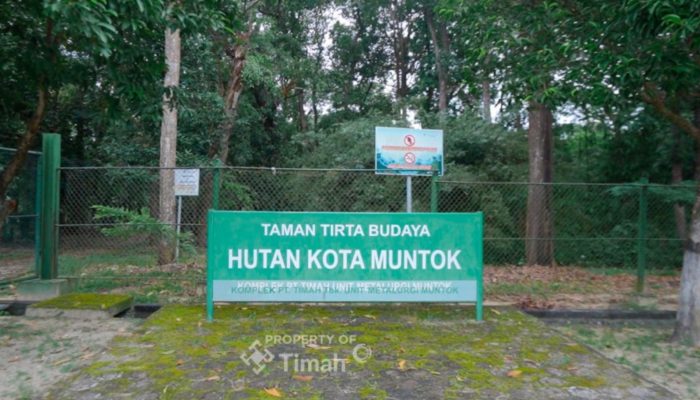 PT Timah Komitmen Jaga Flora dan Fauna Endemik Lewat Hutan Kota Mentok